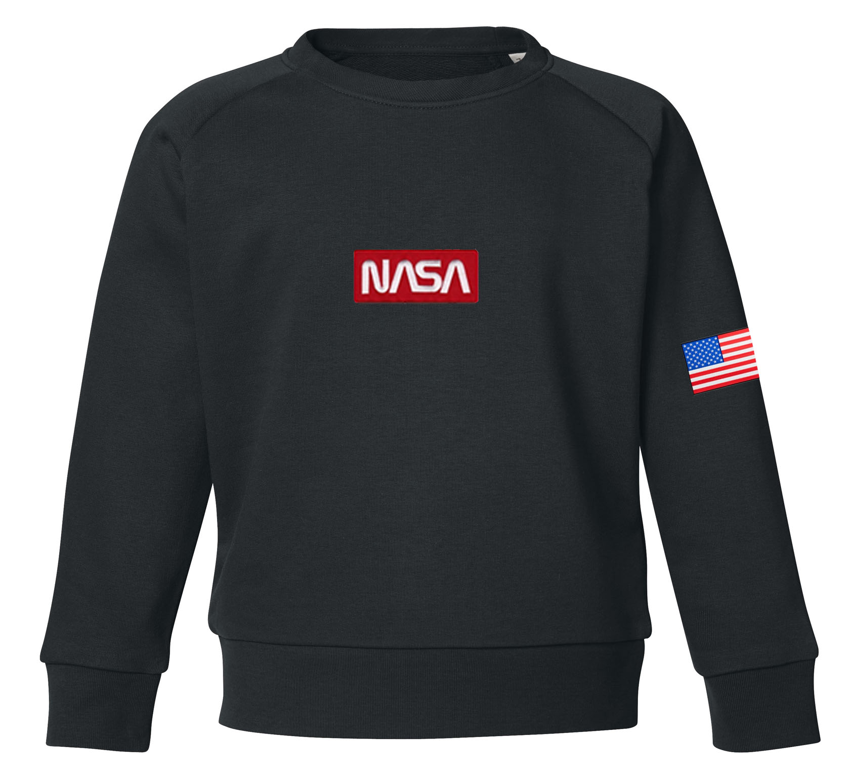 NASA WORM LOGO PRINT SWEATSHIRT - Junior Rags